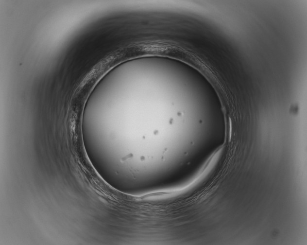 X0000116390723200912161523