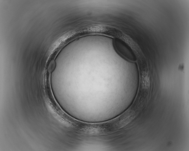 X0000116390726200912161523