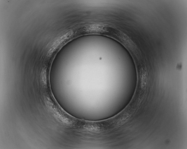 X0000116390729200912161523