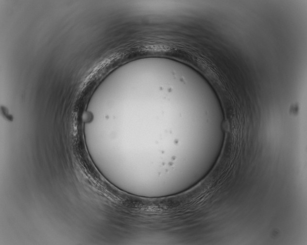 X0000116390731200912161523