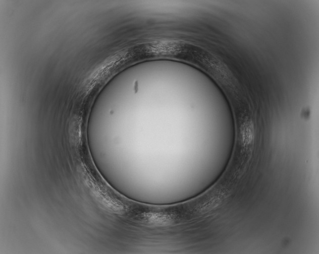 X0000116390733200912161523