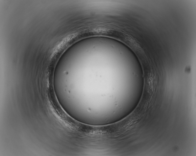 X0000116390734200912161523