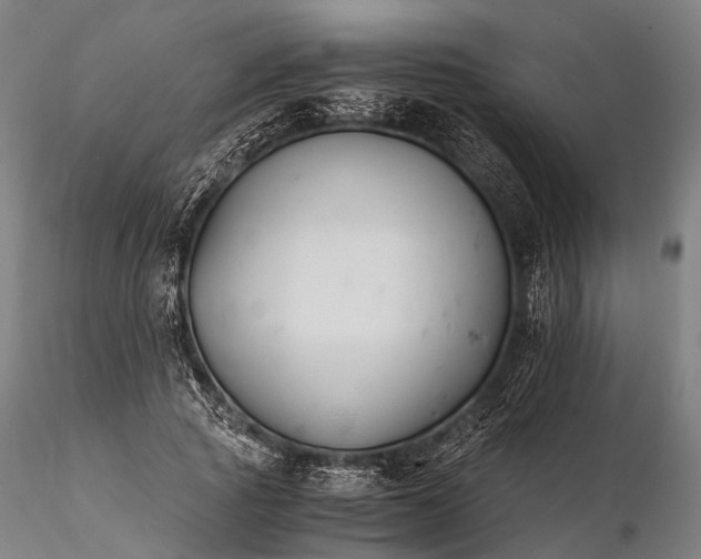 X0000116390737200912161523