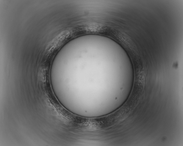X0000116390738200912161523