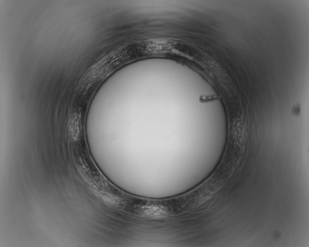 X0000116390741200912161524