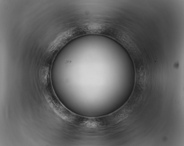 X0000116390742200912161524