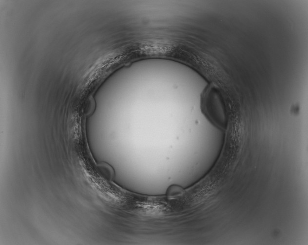 X0000116390743200912161524