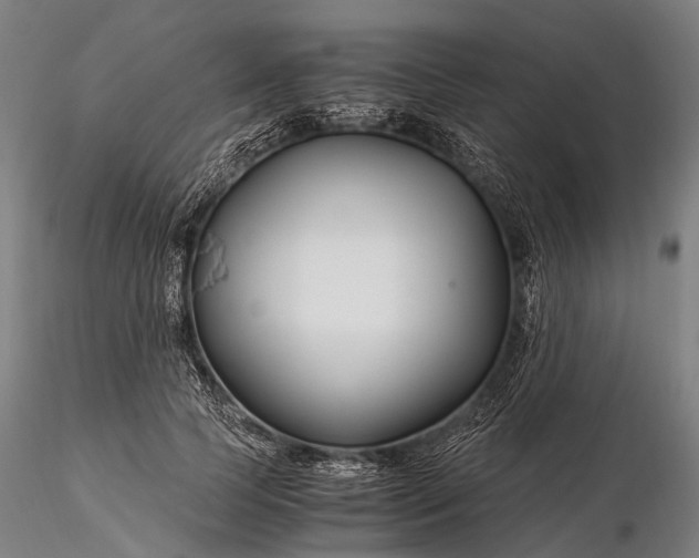 X0000116390745200912161524