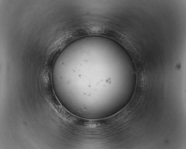 X0000116390746200912161524