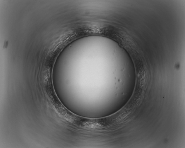 X0000116390747200912161524
