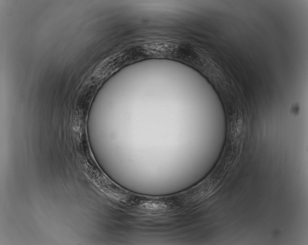 X0000116390749200912161524