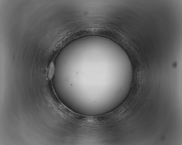 X0000116390750200912161524