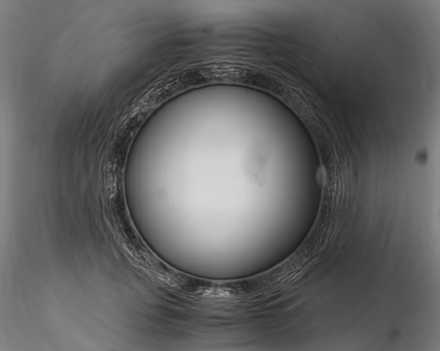 X0000116390751200912161524