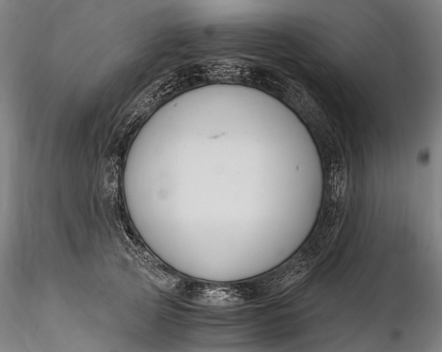 X0000116390753200912161524