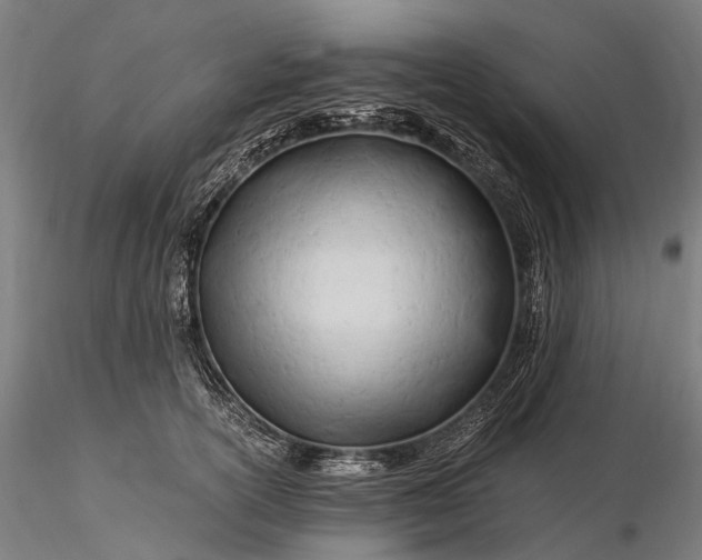 X0000116390754200912161524