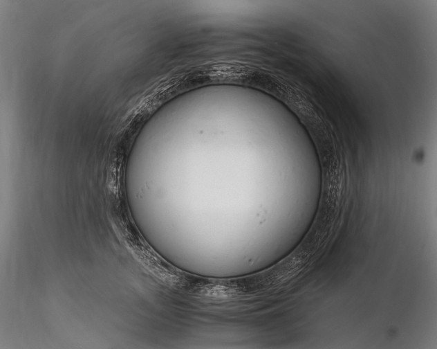 X0000116390755200912161524