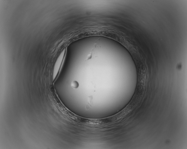 X0000116390758200912161524
