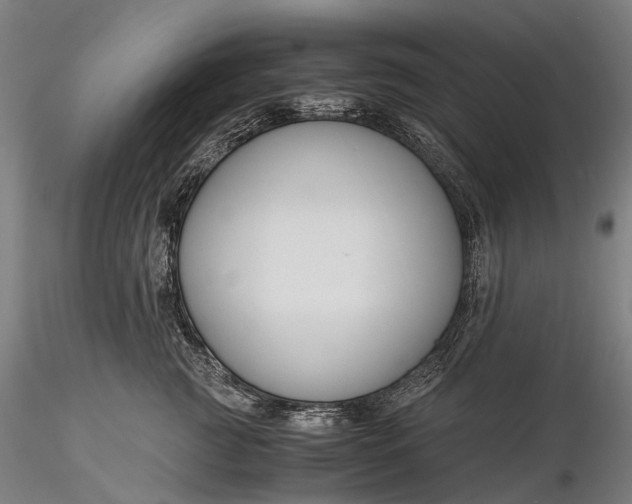X0000116390761200912161524