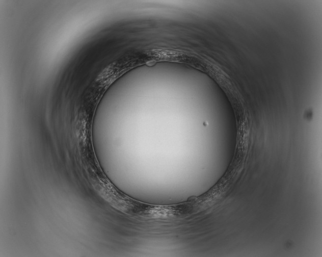 X0000116390762200912161524