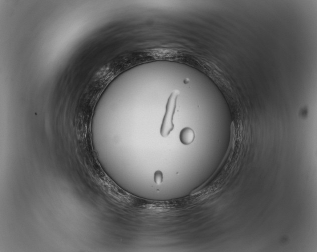 X0000116390763200912161524
