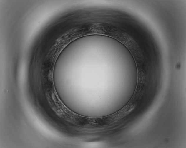 X0000116390765200912161524