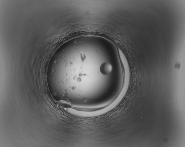 X0000116390769200912161523