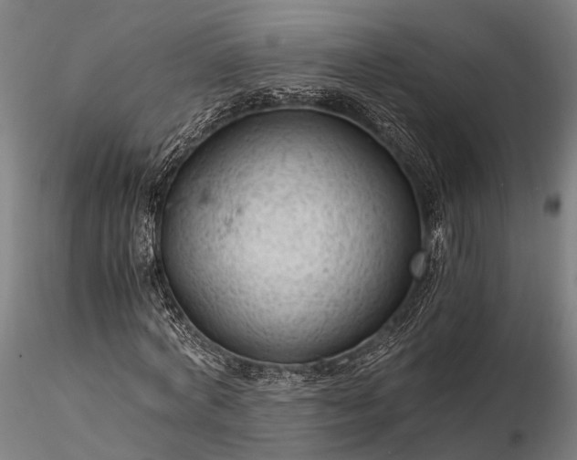 X0000116390772200912161523