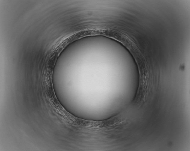 X0000116390773200912161523