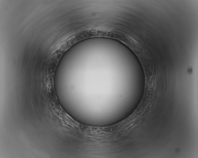 X0000116390774200912161523
