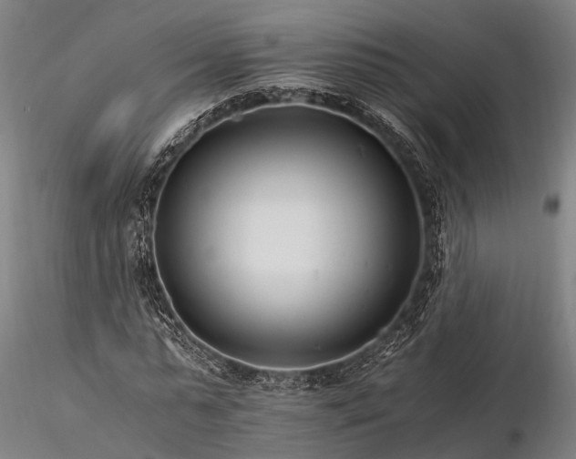 X0000116390775200912161523