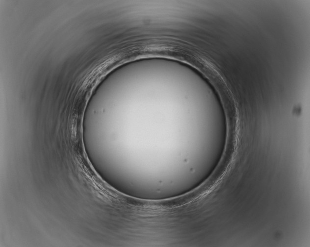 X0000116390777200912161523