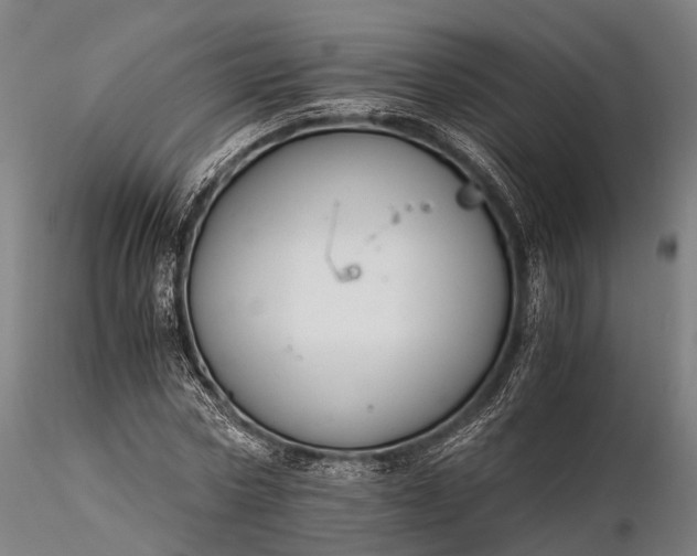 X0000116390778200912161523
