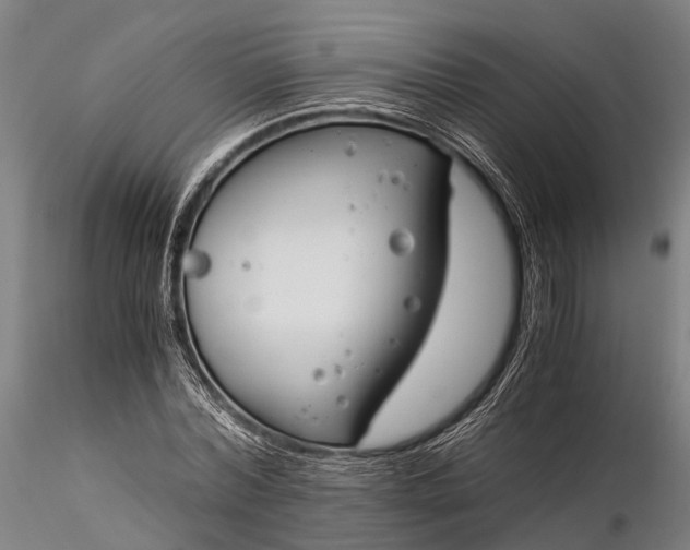X0000116390780200912161523