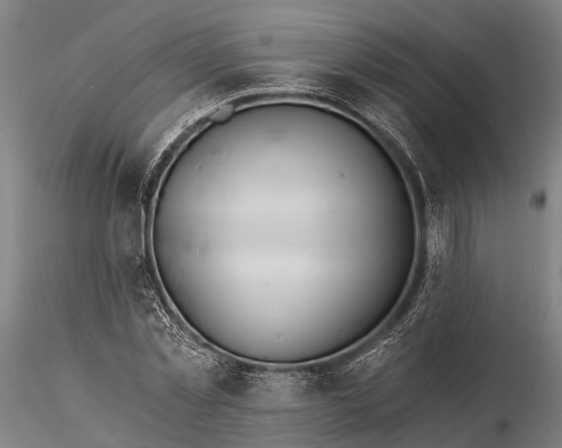 X0000116390781200912161523