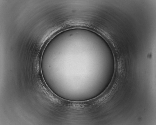 X0000116390782200912161523