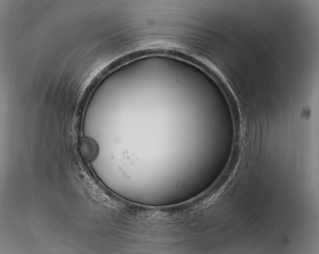 X0000116390783200912161523