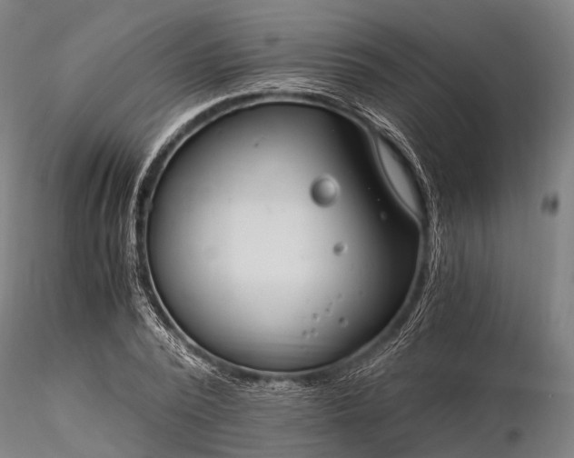 X0000116390784200912161523