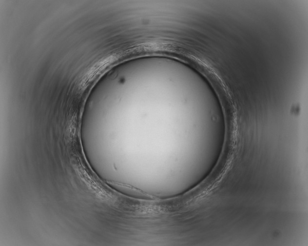 X0000116390785200912161523