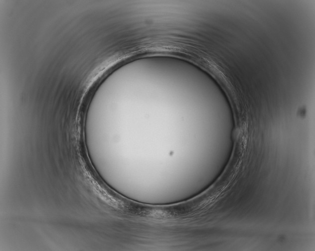 X0000116390787200912161523
