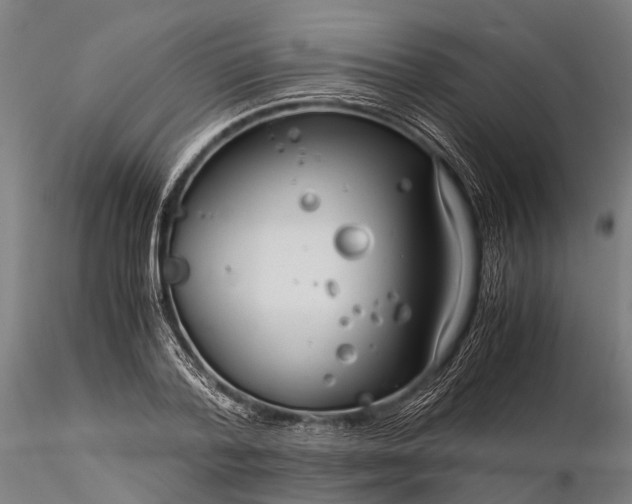 X0000116390788200912161523