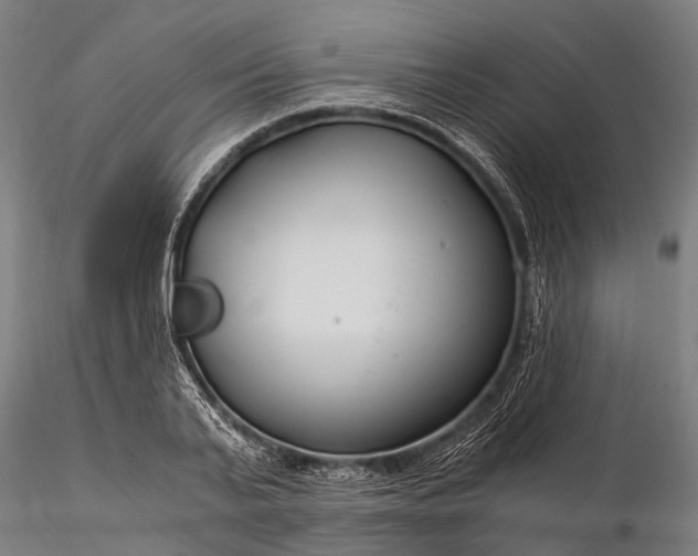 X0000116390791200912161523