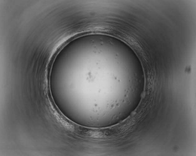X0000116390792200912161523