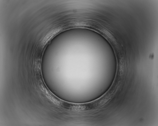 X0000116390793200912161523