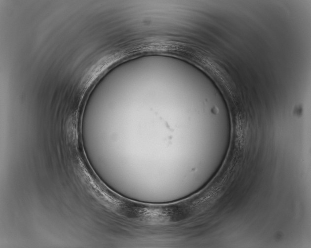 X0000116390794200912161523