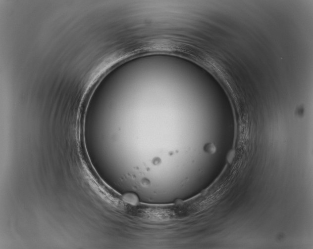X0000116390795200912161523