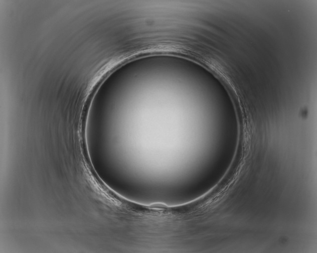 X0000116390797200912161523