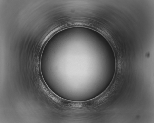 X0000116390798200912161523