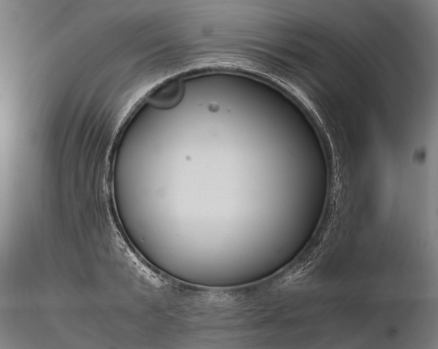 X0000116390799200912161523