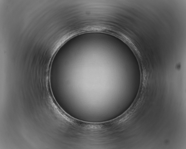 X0000116390802200912161523