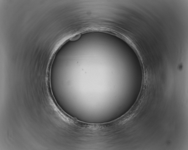 X0000116390803200912161523